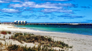 Screenshot 2026-02-03 104714