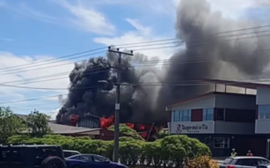 Screenshot 2026-02-08 173641