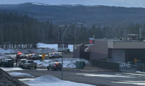 Screenshot 2026-02-11 194411