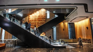 Screenshot 2026-02-11 195501