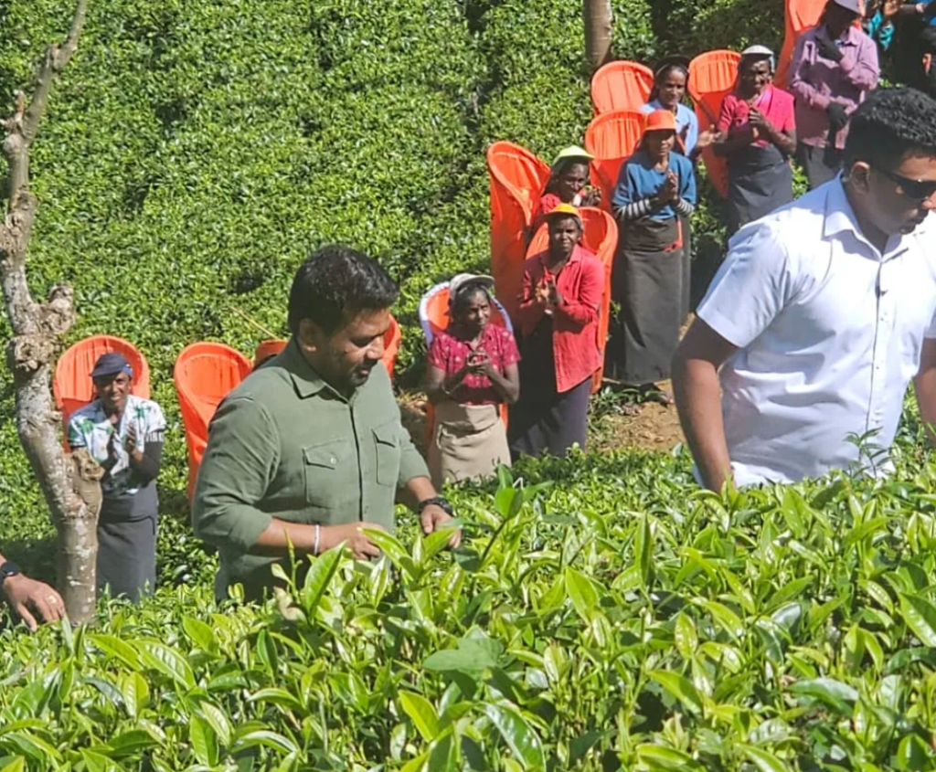 Screenshot 2026-02-11 202237