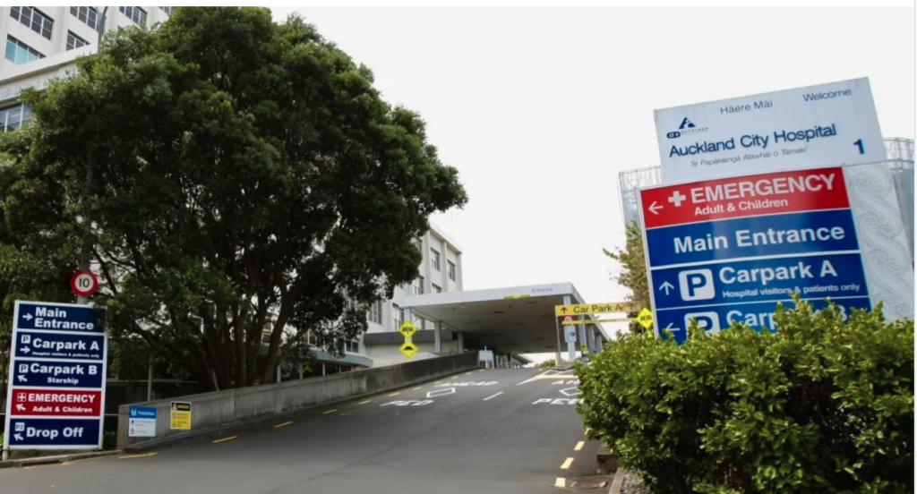 Screenshot 2026-02-13 at 7.53.04 PM