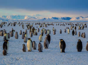 Screenshot 2026-02-18 at 5.42.49 PM