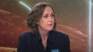 Screenshot 2026-02-21 at 10.43.06 AM