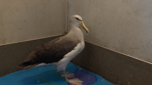 Screenshot 2026-02-22 at 7.54.34 PM