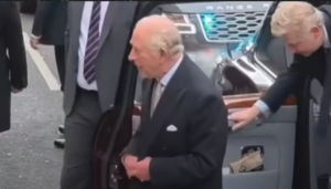 Screenshot 2026-02-28 at 1.02.02 PM