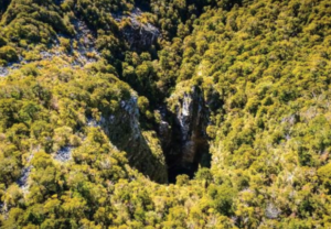 Screenshot 2026-03-02 at 5.53.38 PM