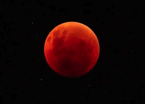 Screenshot 2026-03-03 at 3.41.49 PM