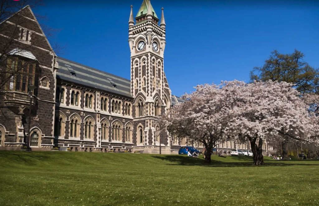 Screenshot 2026-03-04 at 4.38.00 PM