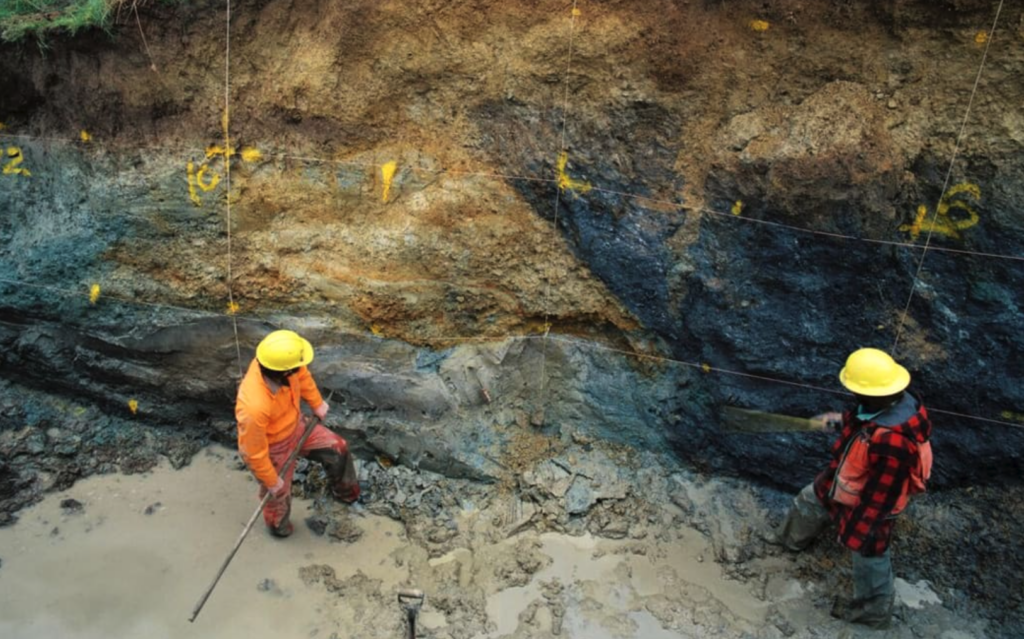 Screenshot 2026-03-07 at 5.07.26 PM