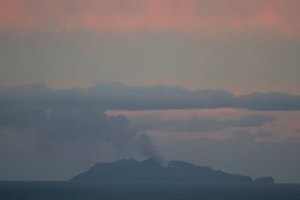 Screenshot 2026-03-12 at 4.22.44 PM