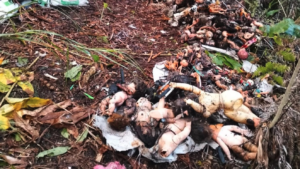 Screenshot 2026-03-12 at 5.04.51 PM