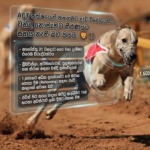 Screenshot 2026-03-14 at 9.49.34 AM